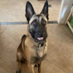 Meet your Posher, Cameron